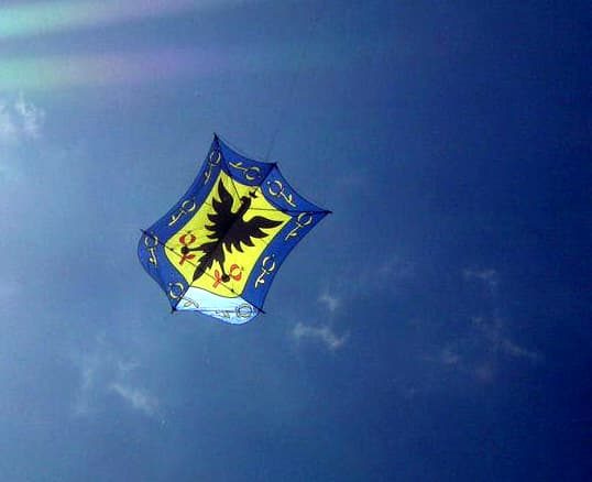 Cometa profesional rokkaku