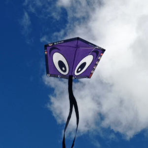 Ojitos Morada(50x80 cms)