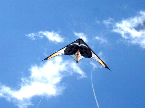 Cometa profesional Wayra