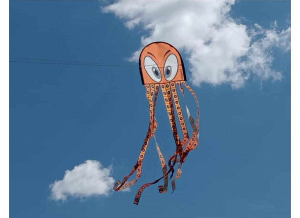 Octopus cometa en tela para niños y niñas